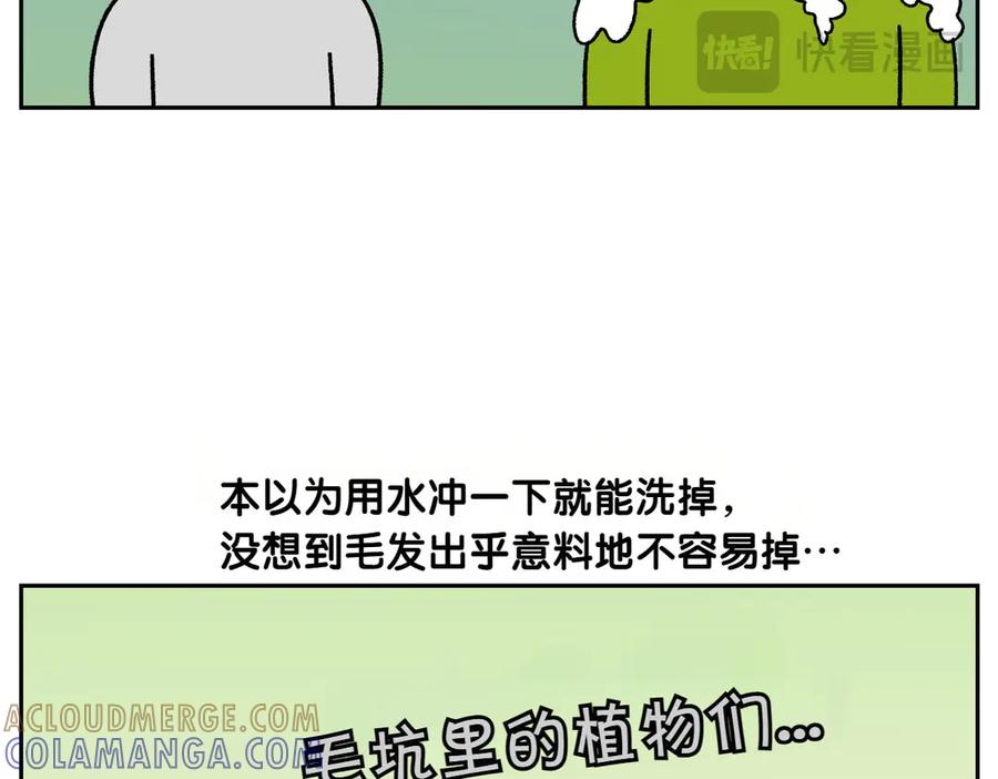 《我的狗子叫棉花》第50话 超强风吹干 第43页