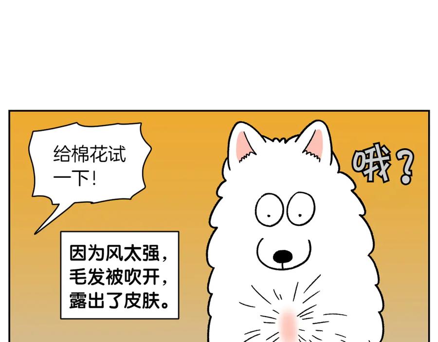 《我的狗子叫棉花》第50话 超强风吹干 第24页