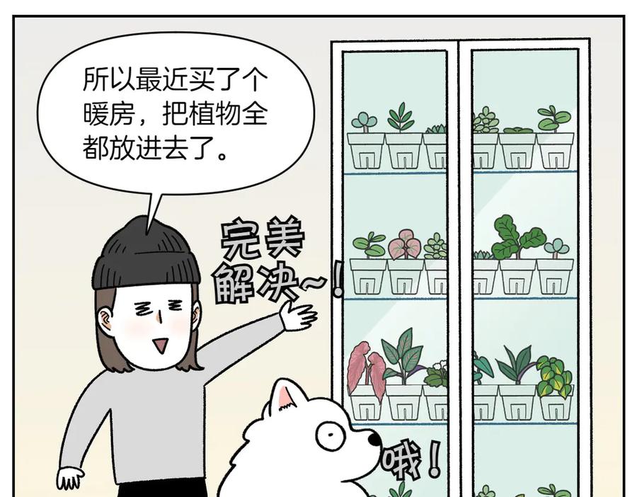 《我的狗子叫棉花》第50话 超强风吹干 第45页
