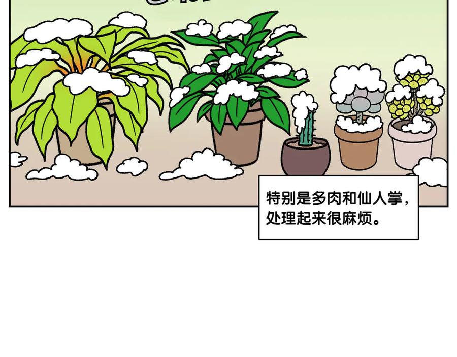 《我的狗子叫棉花》第50话 超强风吹干 第44页