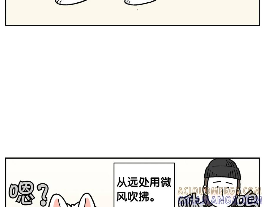 《我的狗子叫棉花》第50话 超强风吹干 第10页