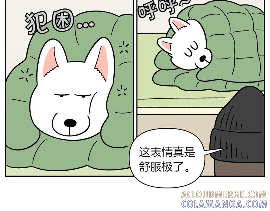 《我的狗子叫棉花》第54话 一起在床上睡吧 第19页