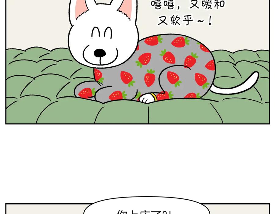 《我的狗子叫棉花》第54话 一起在床上睡吧 第14页