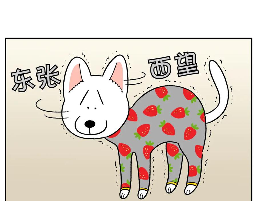《我的狗子叫棉花》第54话 一起在床上睡吧 第11页