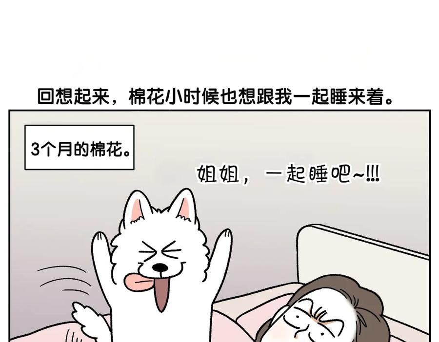 《我的狗子叫棉花》第54话 一起在床上睡吧 第26页