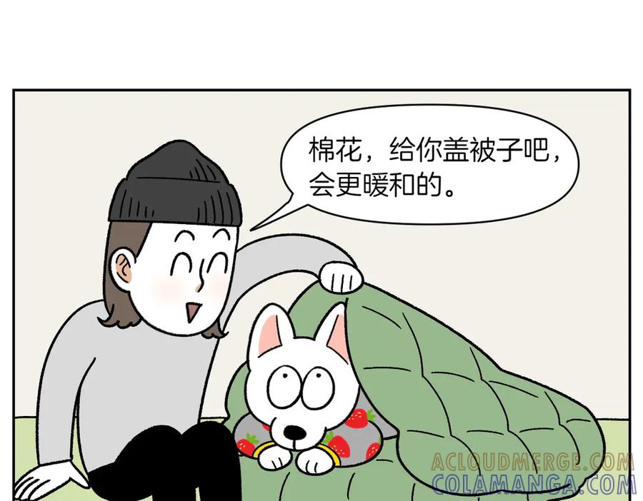 《我的狗子叫棉花》第54话 一起在床上睡吧 第16页