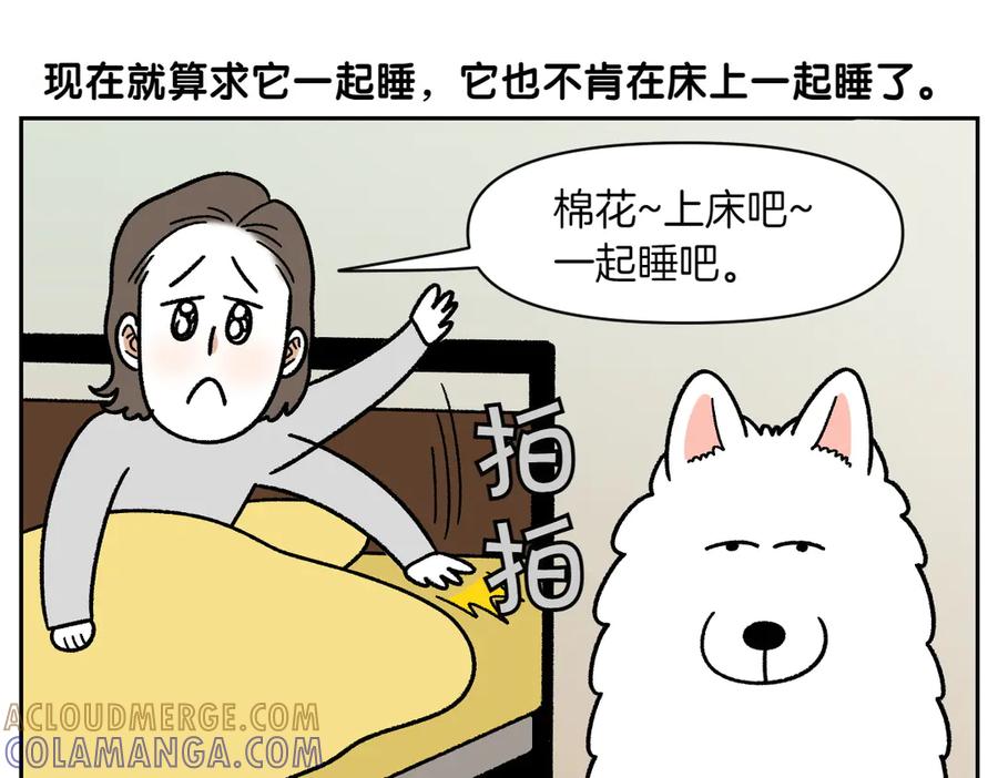 《我的狗子叫棉花》第54话 一起在床上睡吧 第31页
