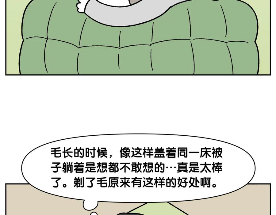 《我的狗子叫棉花》第54话 一起在床上睡吧 第24页