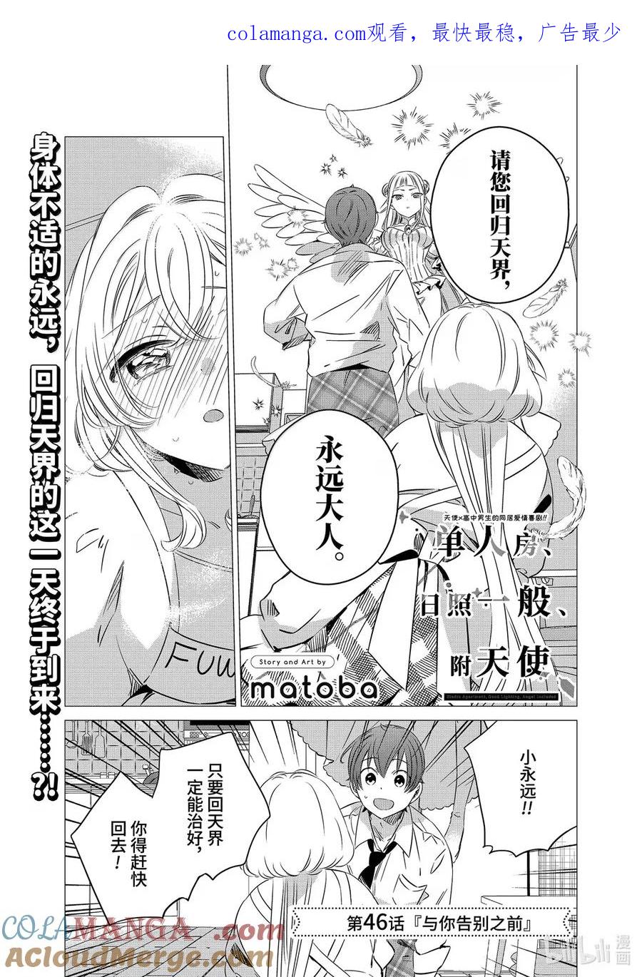 《单人房、日照一般、附天使》46 46 第1页