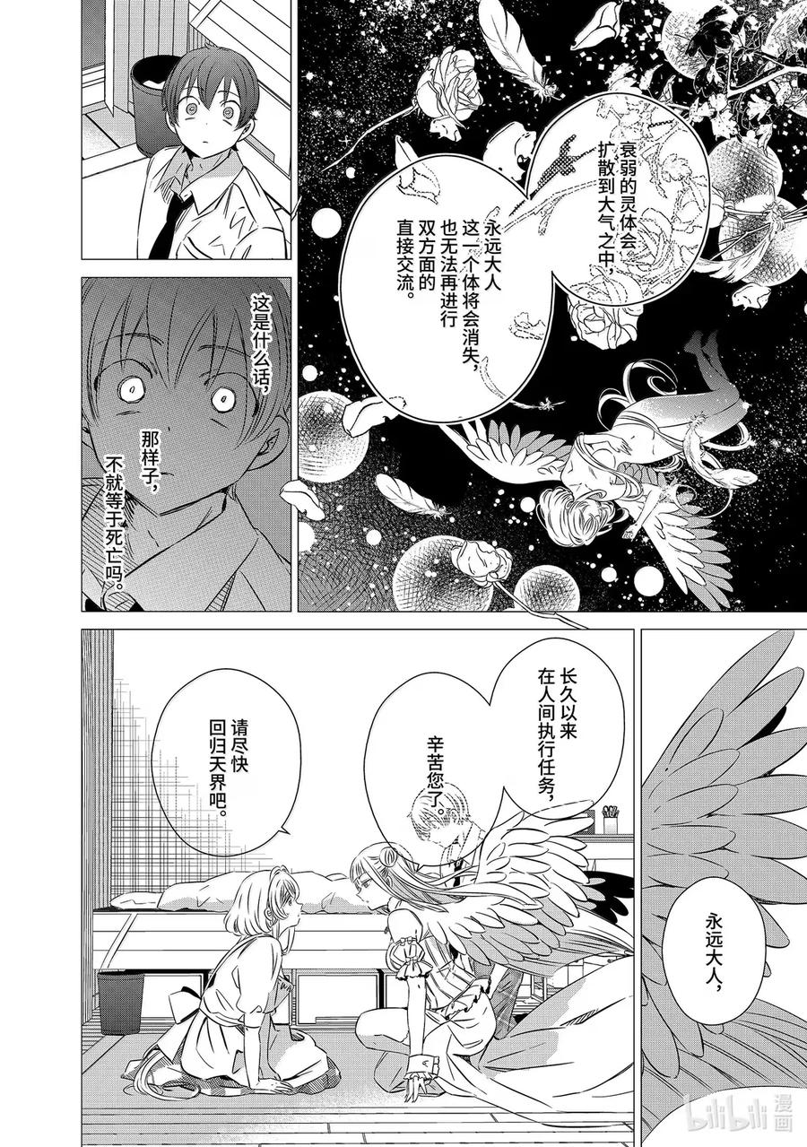 《单人房、日照一般、附天使》46 46 第4页