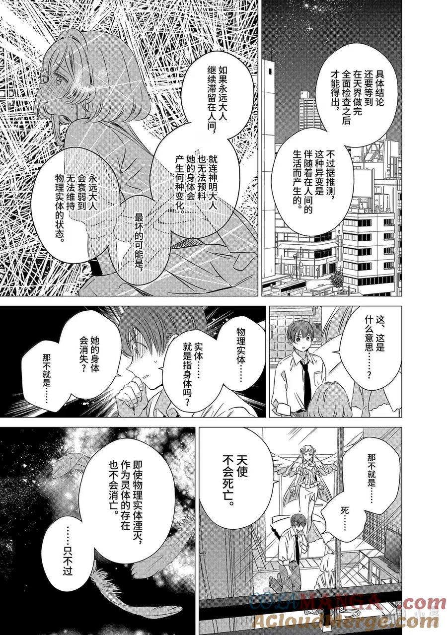 《单人房、日照一般、附天使》46 46 第3页