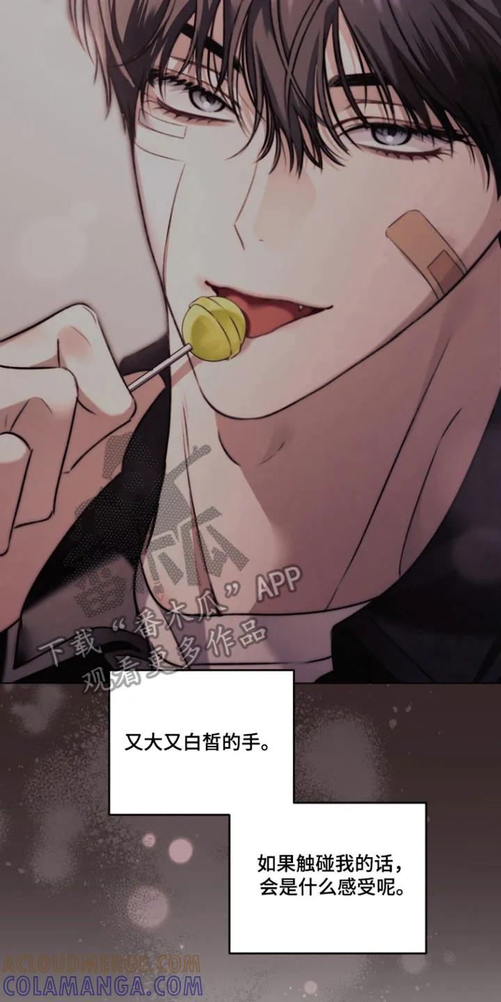 《忧郁的视线》第40章：承认心意 第15页