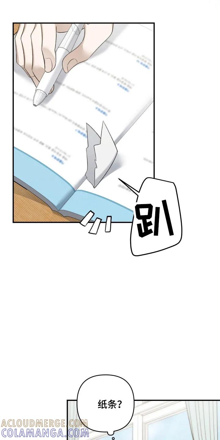 《忧郁的视线》第44章：坚持微笑 第29页