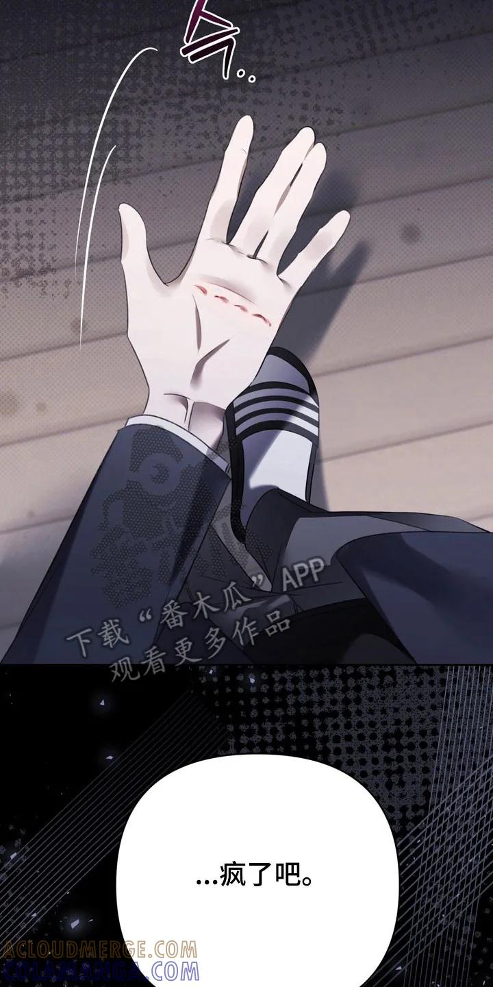 《忧郁的视线》第44章：坚持微笑 第15页