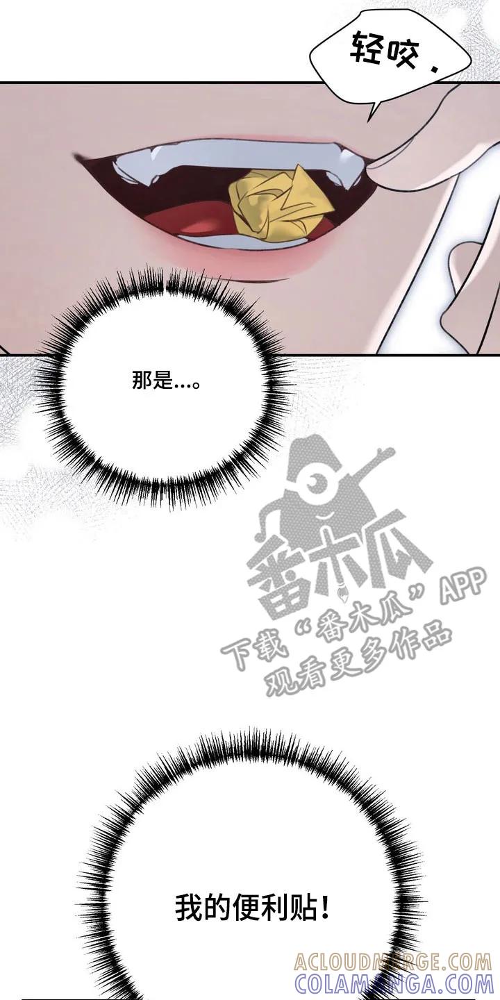 《忧郁的视线》第55章：捉摸不透 第11页