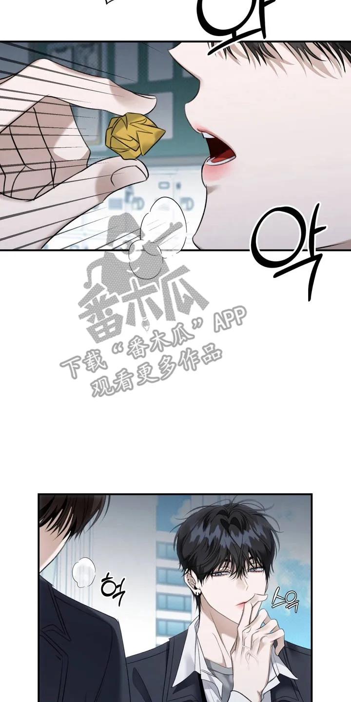 《忧郁的视线》第55章：捉摸不透 第14页