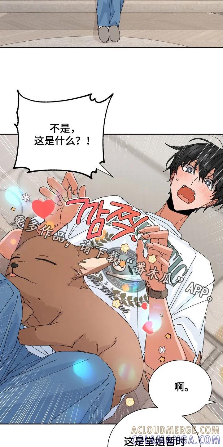 别样新婚 - 第51章：【第二季】和以前不一样 - 第27张图