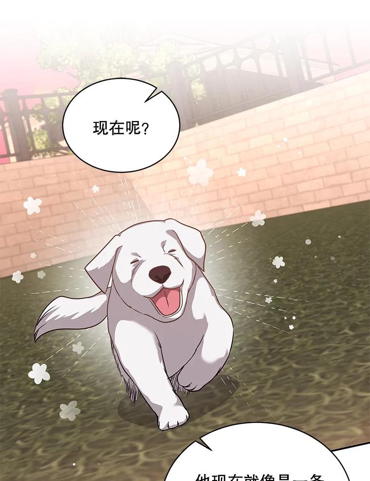 《爱的契约》55.助攻夫妻 第50页