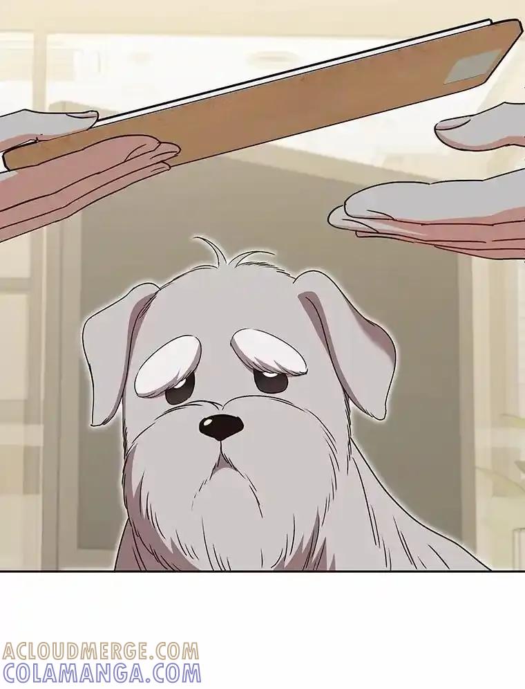《你好？兽医先生！》65.我真的腻了 第57页
