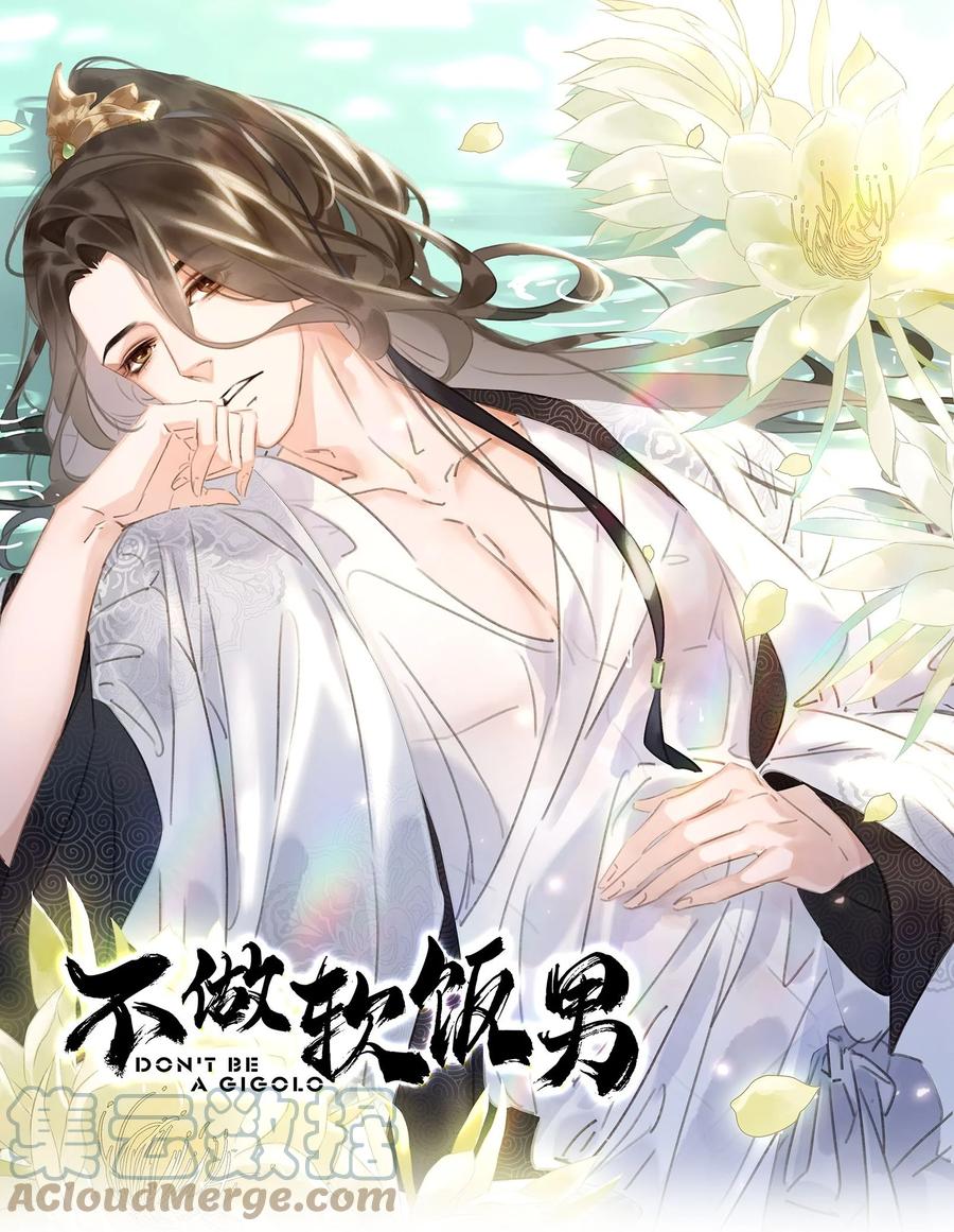 《不做软饭男》060 那人却在，灯火阑珊处 第1页