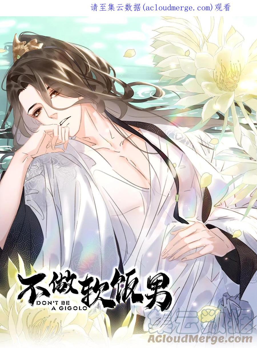 《不做软饭男》063 暗送秋波的大辽皇子 第1页