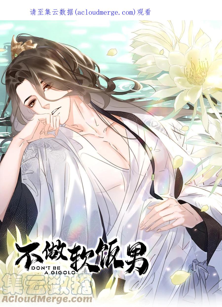 《不做软饭男》065 官不好当啊！ 第1页