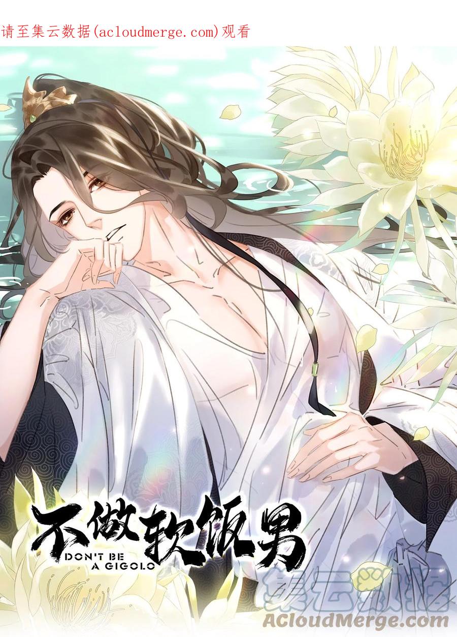 《不做软饭男》071 一辈子在一起 第1页