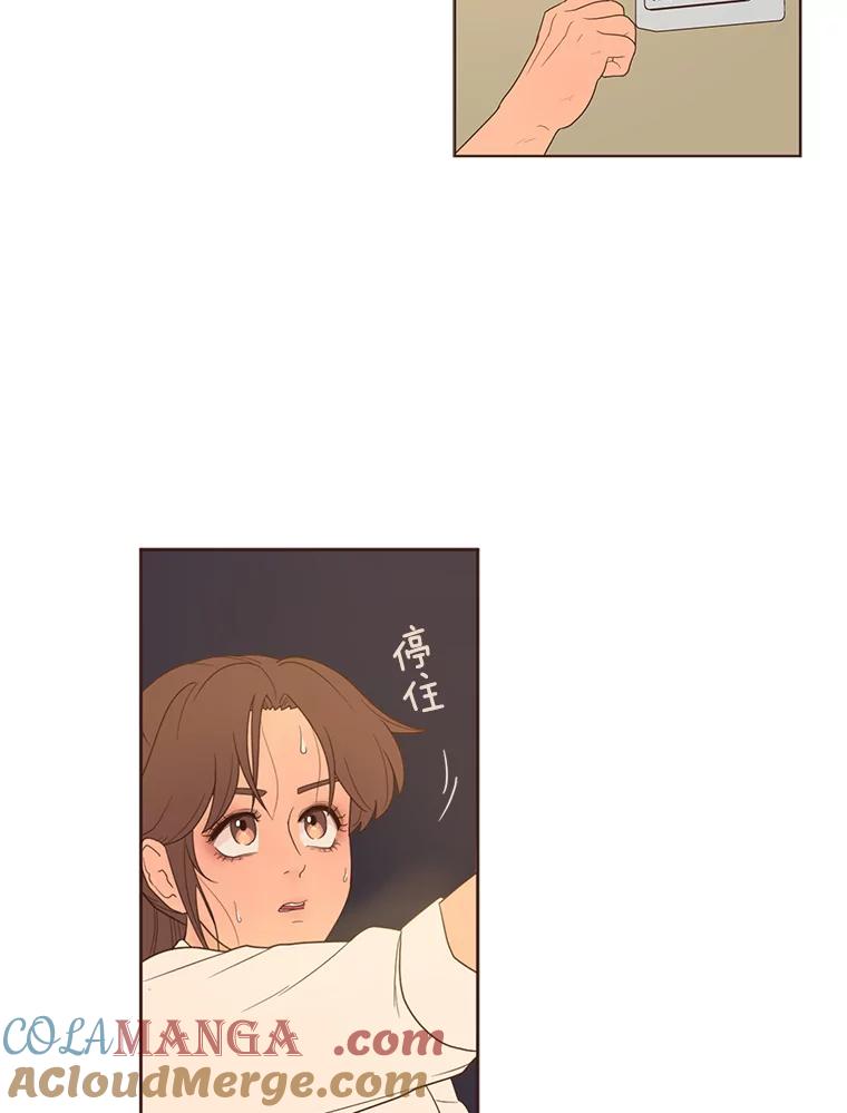 《财阀访谈》38.安稳归家大作战 第52页