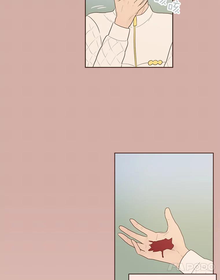 《财阀访谈》39.财阀男是5颗星 第23页