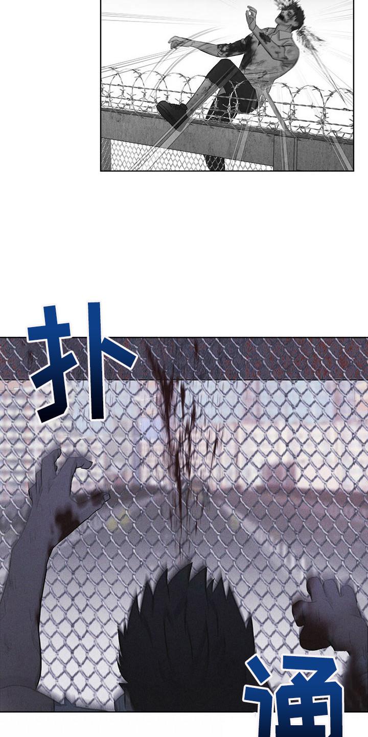 《彩虹城》第13章：精准命中 第16页