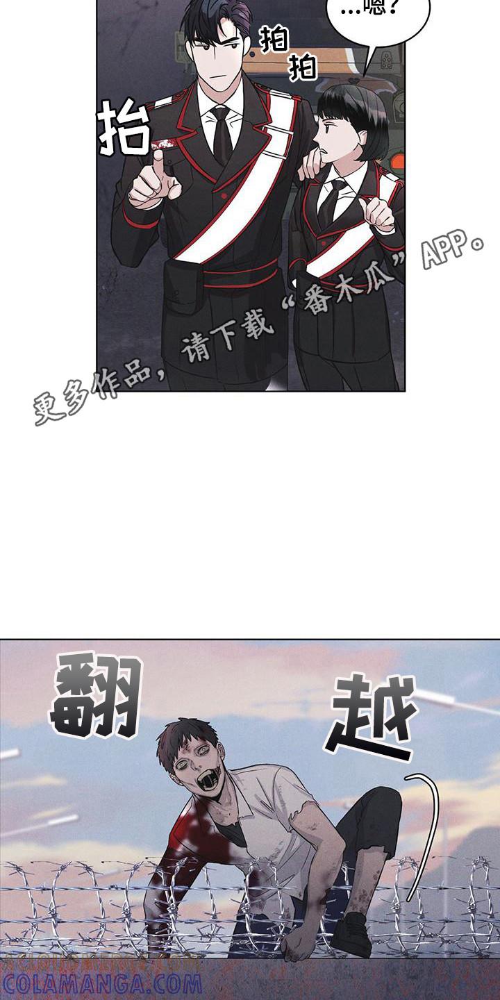 《彩虹城》第13章：精准命中 第11页