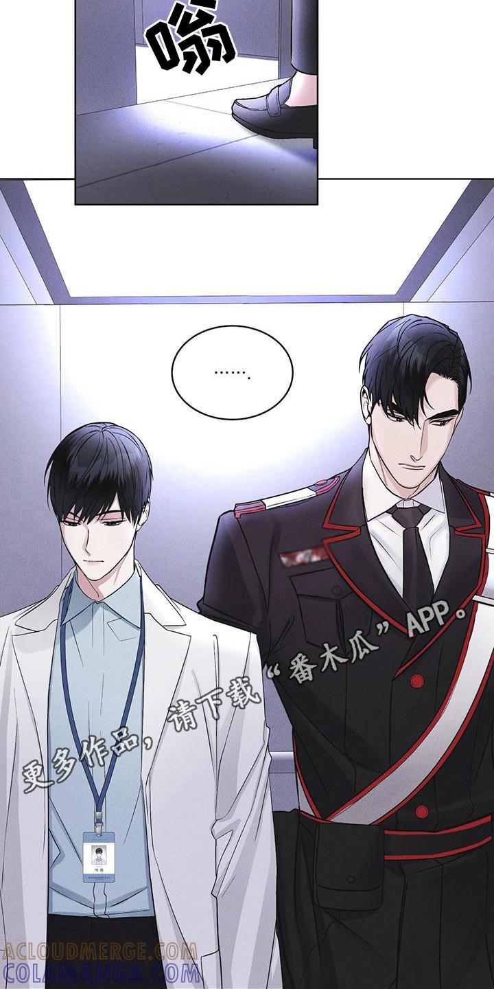 《彩虹城》第14章：名字的含义 第11页