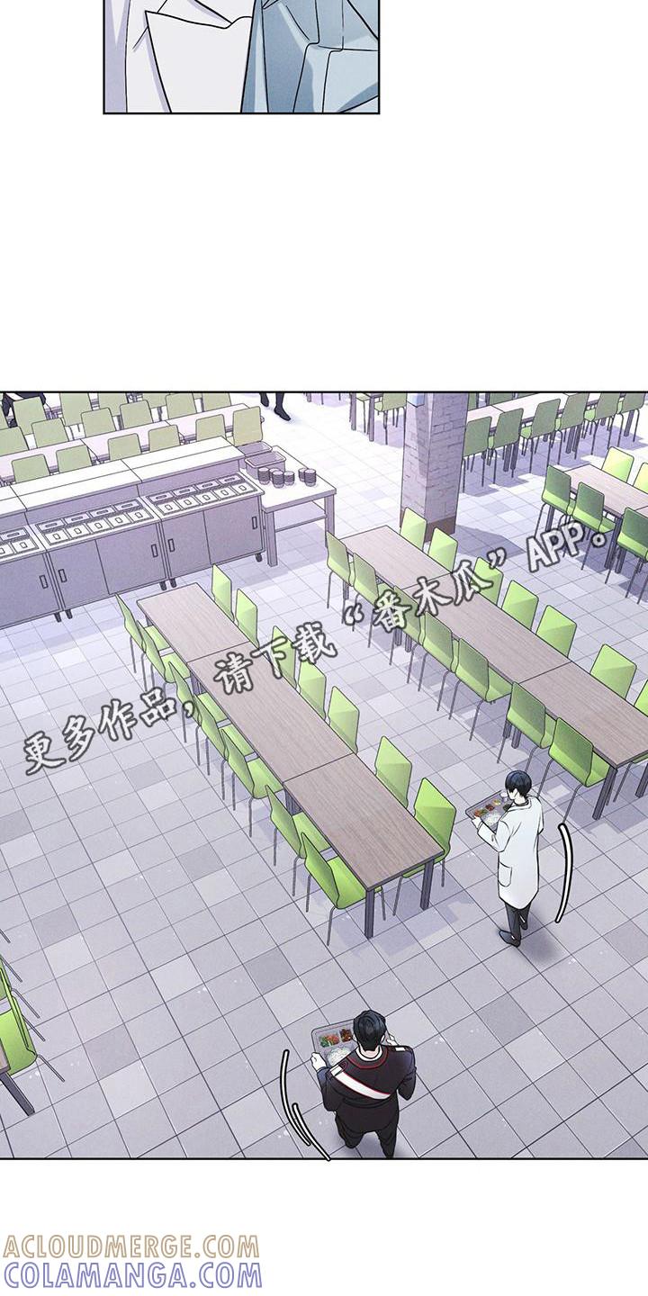 《彩虹城》第15章：像狗一样 第5页