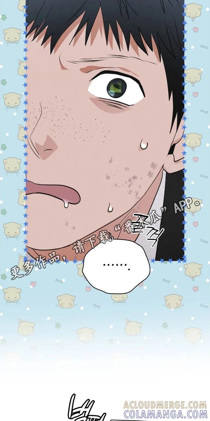 《彩虹城》第163章：【第三季】五龙山 第15页