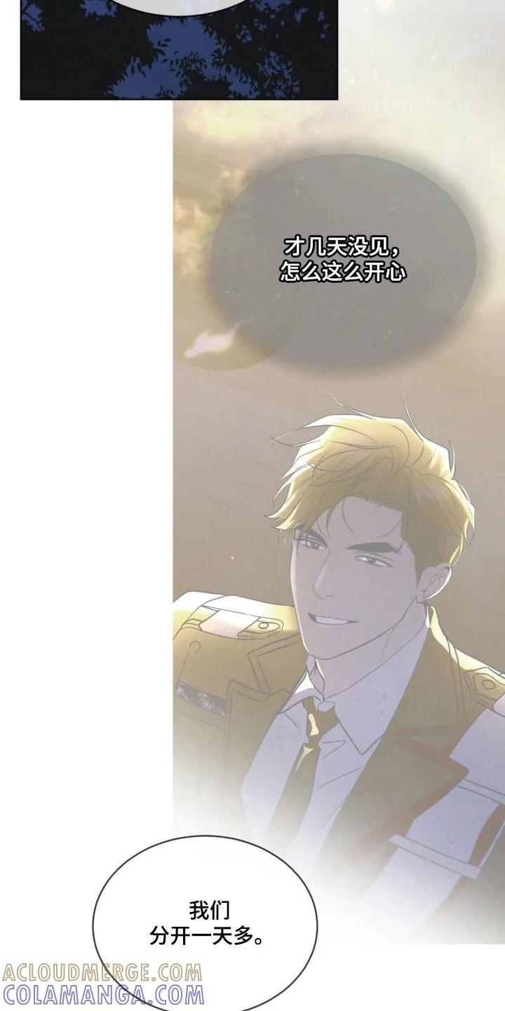 《彩虹城》第166章：【第三季】他的温柔 第13页