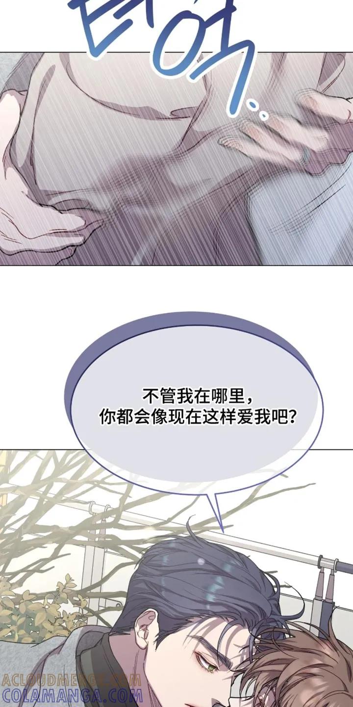 《虚情假意》第169章：【番外】最近的传言 第5页