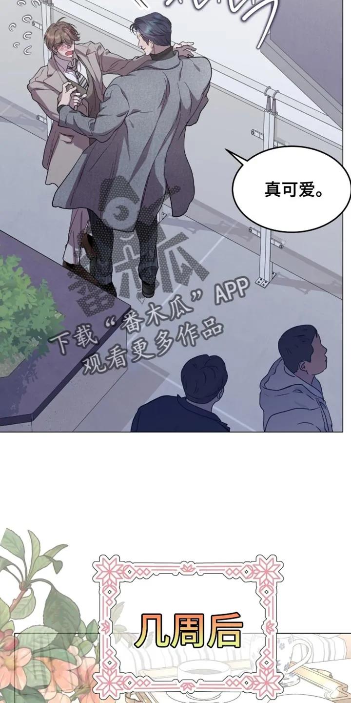 《虚情假意》第169章：【番外】最近的传言 第14页