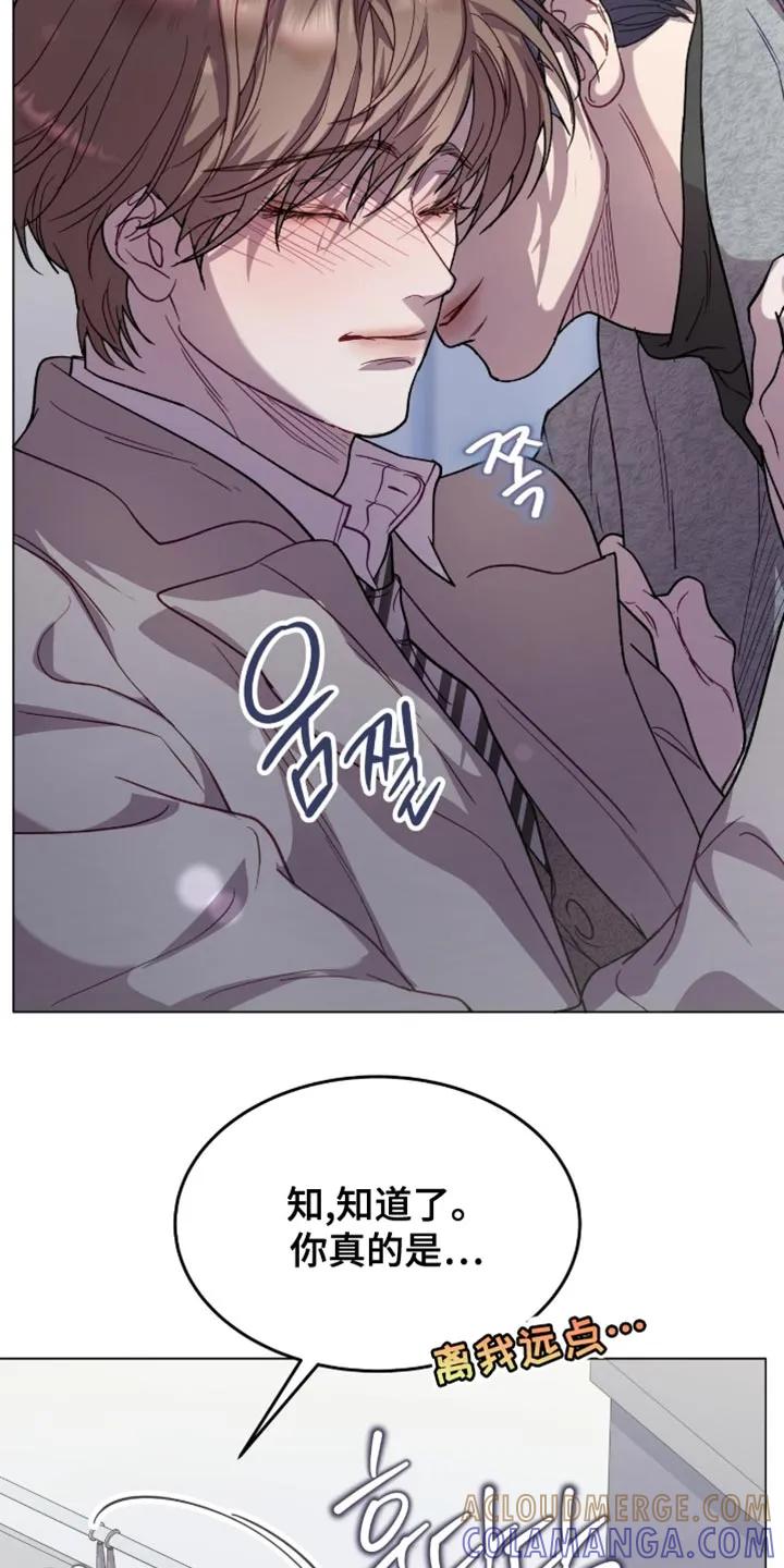 《虚情假意》第169章：【番外】最近的传言 第13页