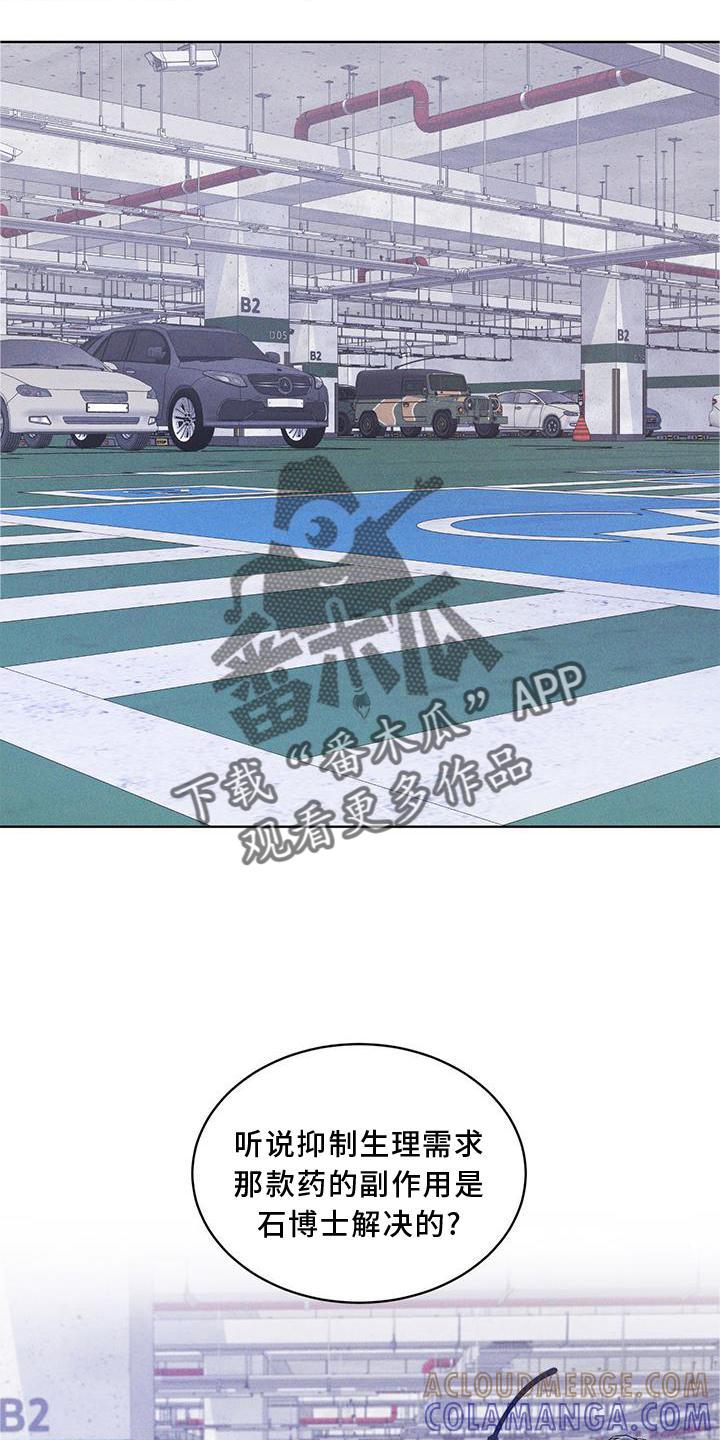 《彩虹城》第20章：下去 第7页