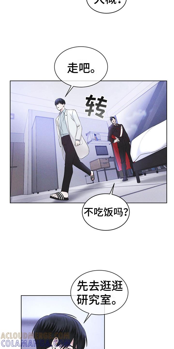 《彩虹城》第9章：盯着 第13页