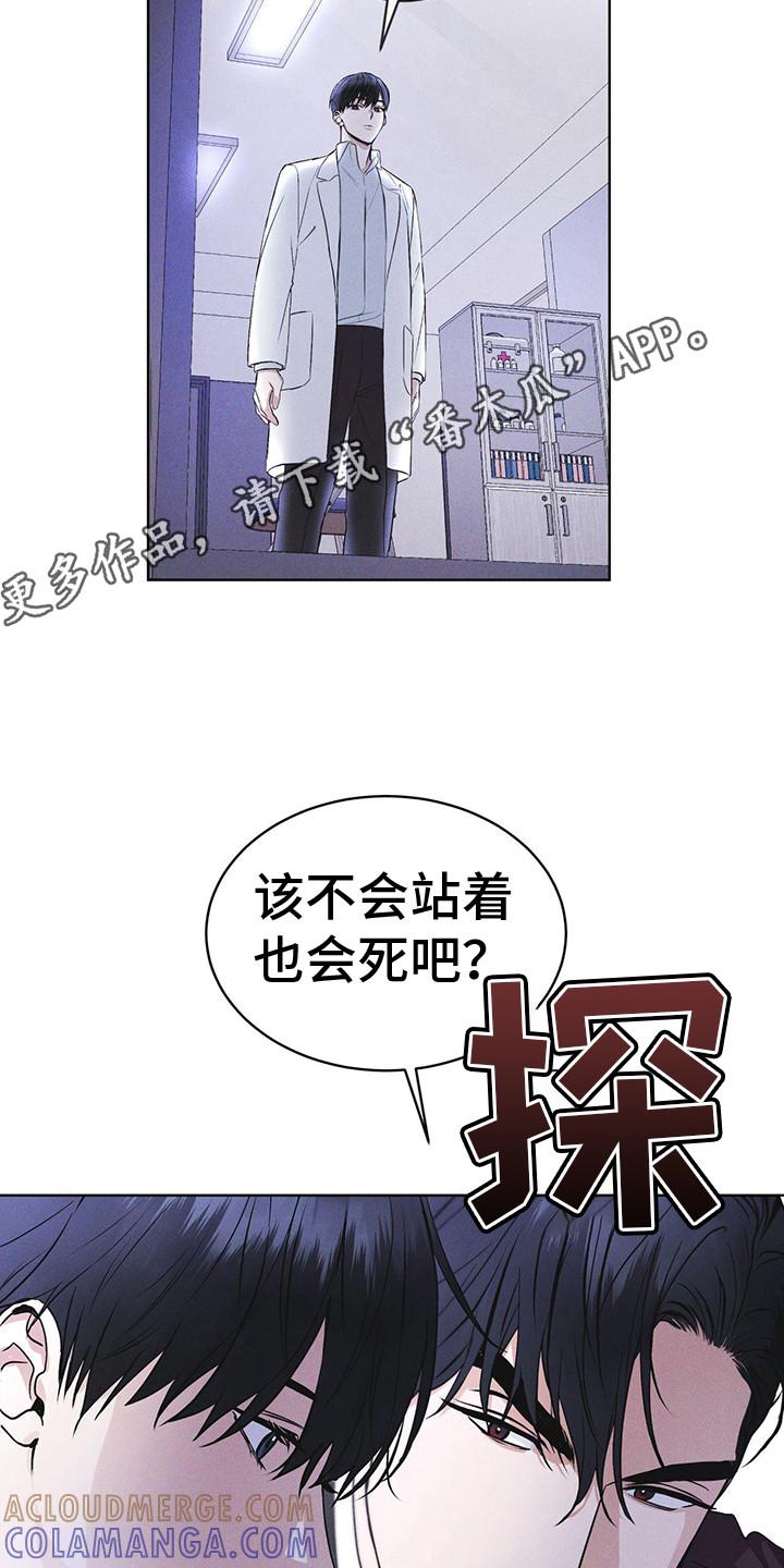 《彩虹城》第9章：盯着 第11页