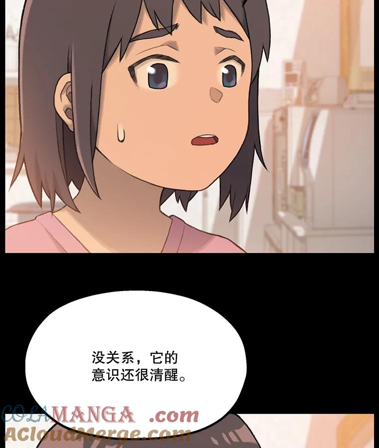 《彩虹桥守望者》0.序章 第15页