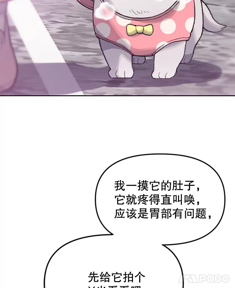 《彩虹桥守望者》9.新人报道 第70页