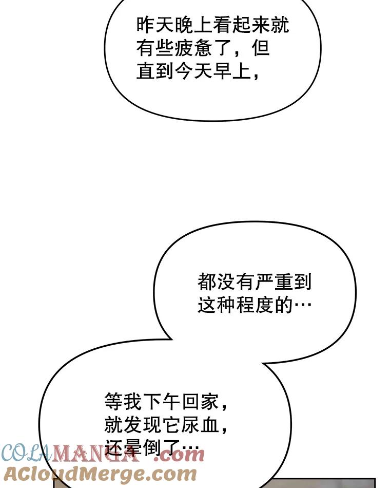 《彩虹桥守望者》10.放松，放轻松 第73页