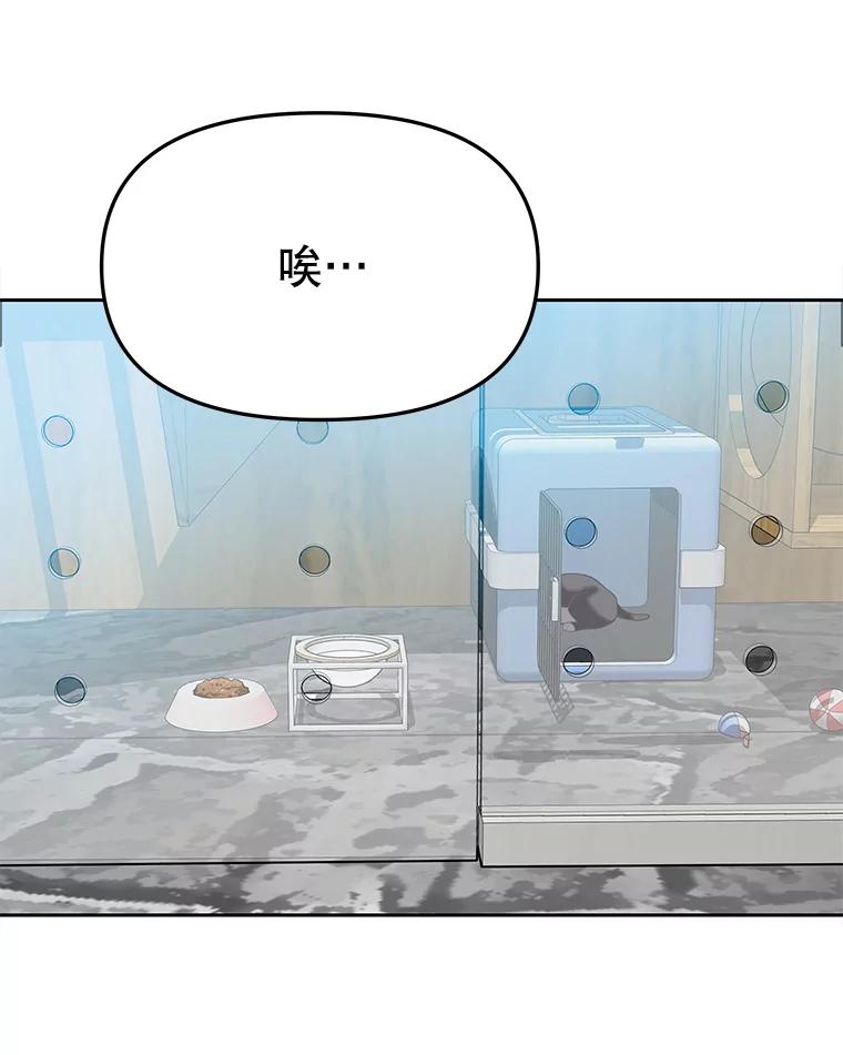 《彩虹桥守望者》10.放松，放轻松 第54页