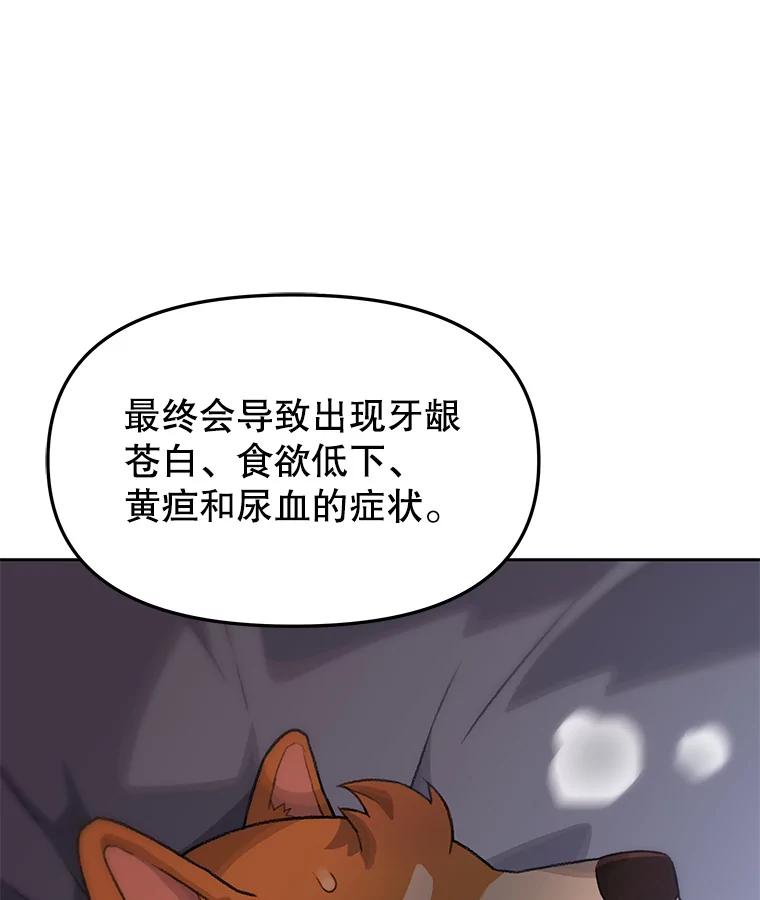 《彩虹桥守望者》11.多灾多难的五岁 第14页