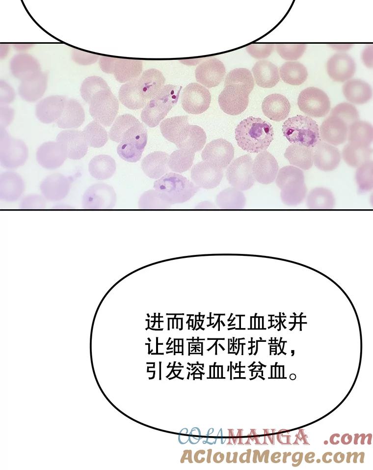 《彩虹桥守望者》11.多灾多难的五岁 第13页