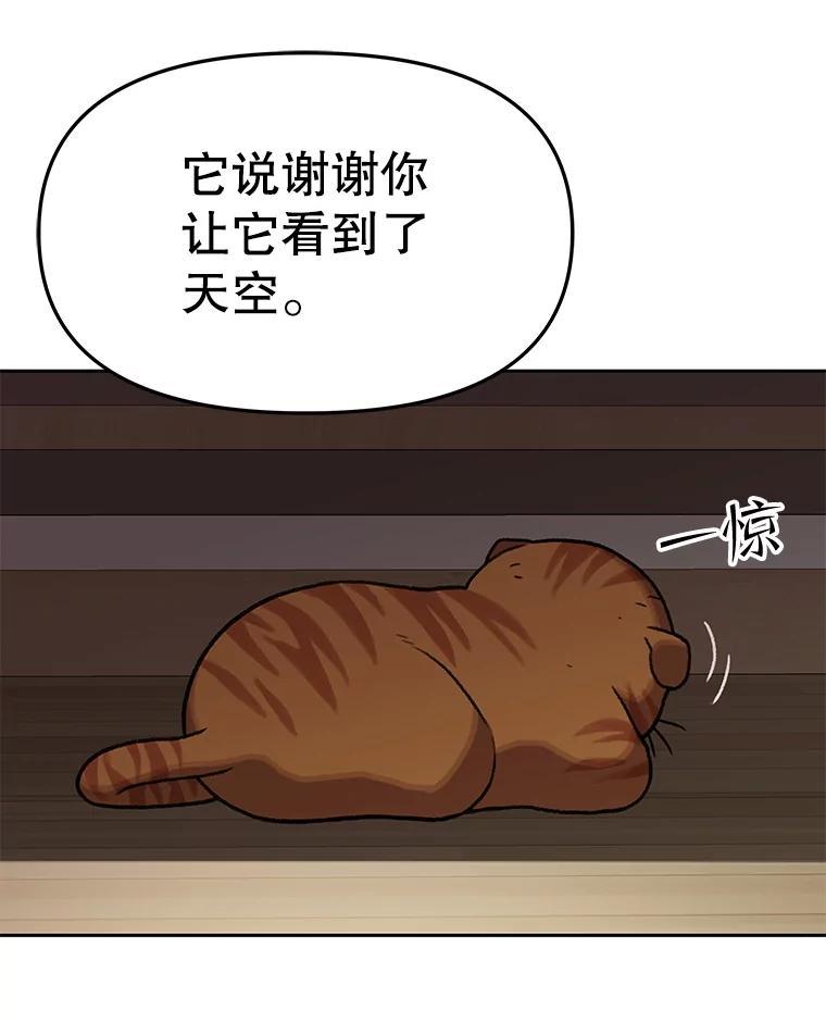 《彩虹桥守望者》139.解开心结 第17页