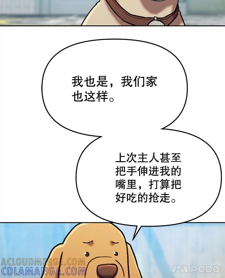 《彩虹桥守望者》141.对不起 第19页
