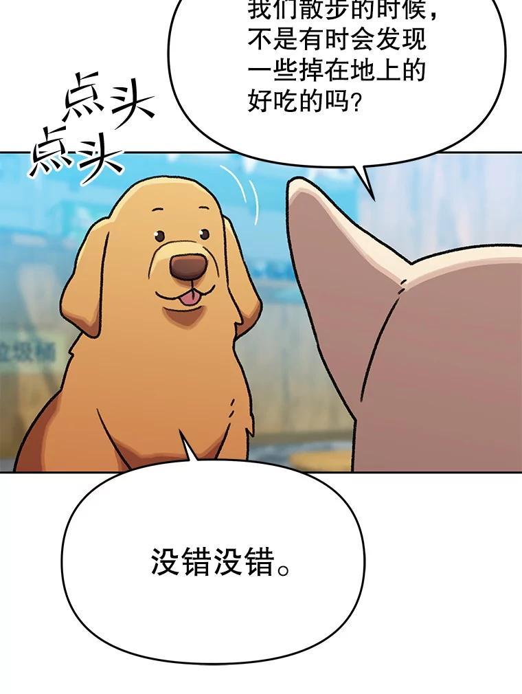 《彩虹桥守望者》141.对不起 第17页